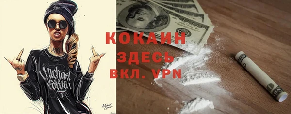 сатива Аркадак
