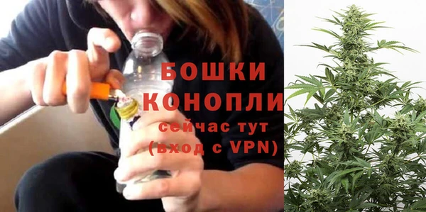 крисы Сосновка