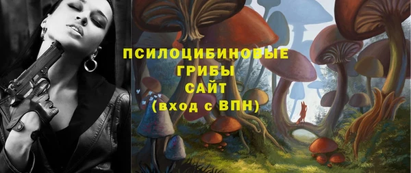 крисы Сосновка