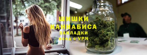 сатива Аркадак