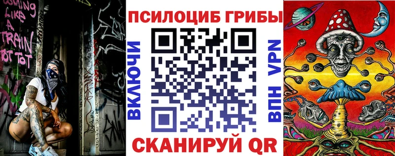 хочу наркоту  Суровикино  Галлюциногенные грибы GOLDEN TEACHER 